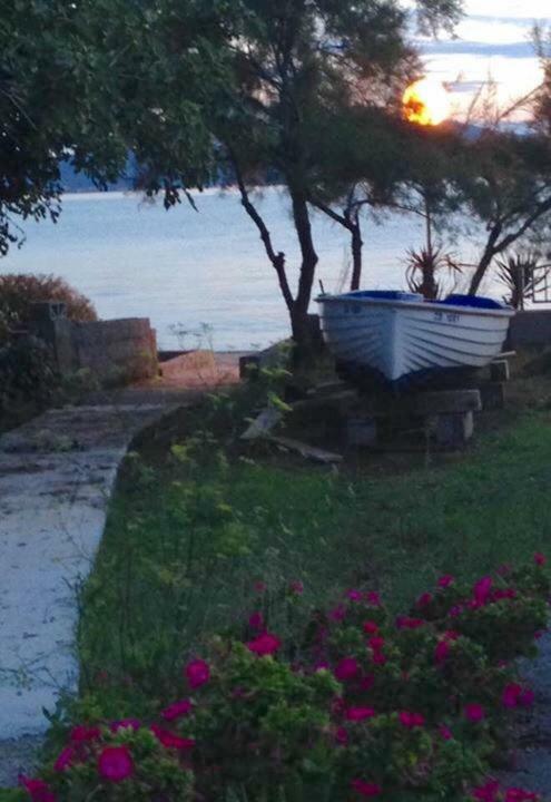 Apartman Lipotica Diklo Zadar Bagian luar foto