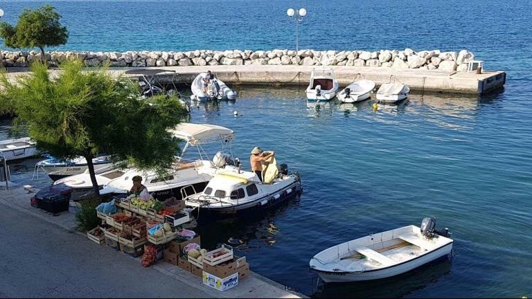 Apartman Lipotica Diklo Zadar Bagian luar foto